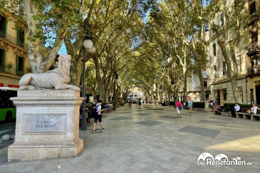 Passeig des Born in Palma de Mallorca