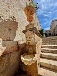 Treppenaufgang zur Kathedrale von Palma de Mallorca