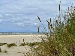 Am Oststrand von Baltrum