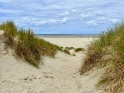 Dünen auf Baltrum