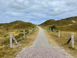 Wanderweg auf Baltrum