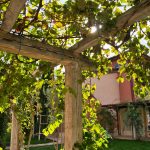 Zu Besuch im Guadalupe Tuscany Resort 17