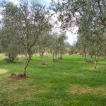 Zu Besuch im Guadalupe Tuscany Resort 42