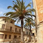 An der Kirchentreppe von Santanyi