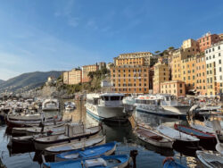 Der Hafen von Camogli