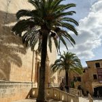 Palmen in Santanyi