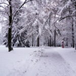 Im verschneiten Kurpark von Braunlage 01