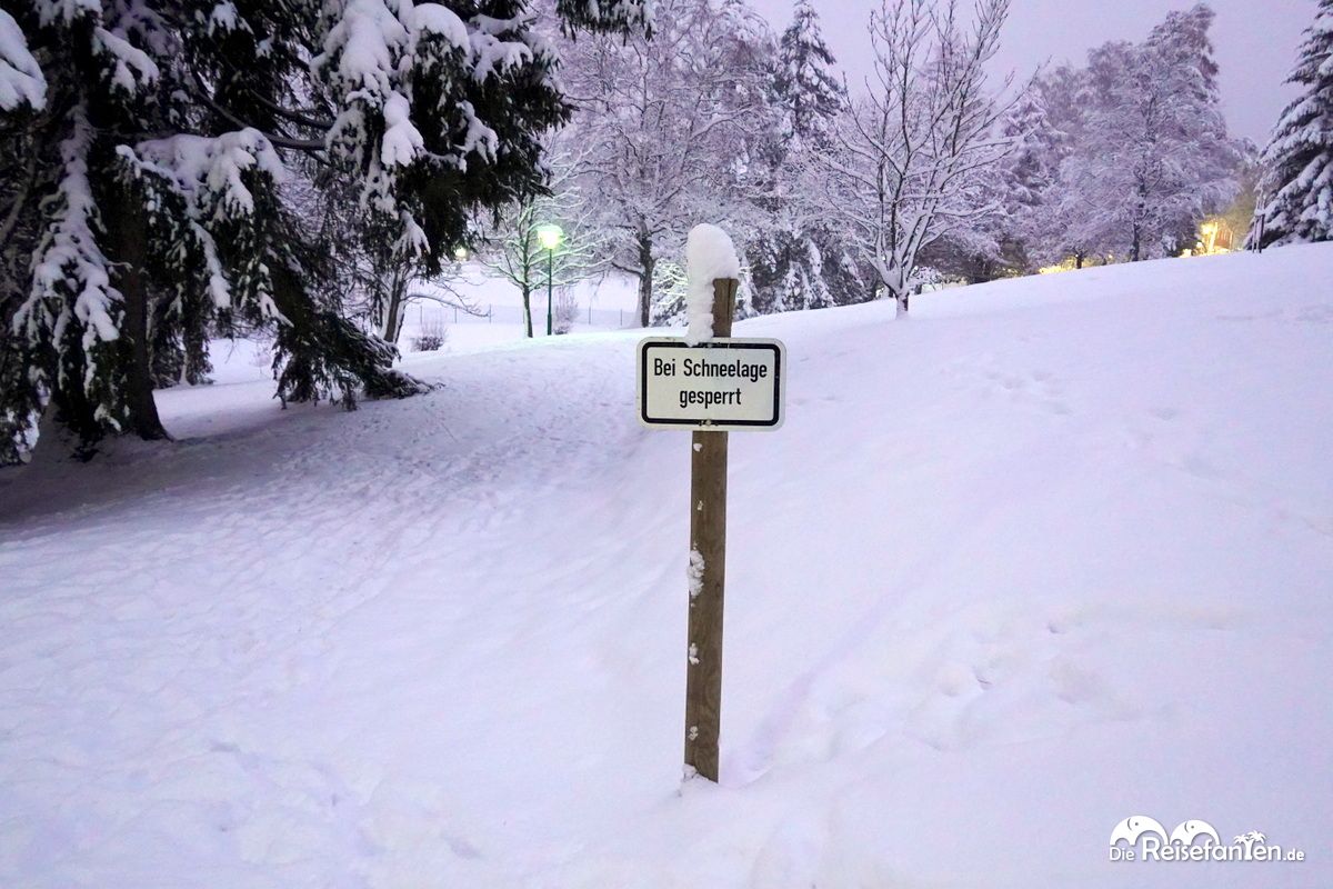 Im verschneiten Kurpark von Braunlage 09