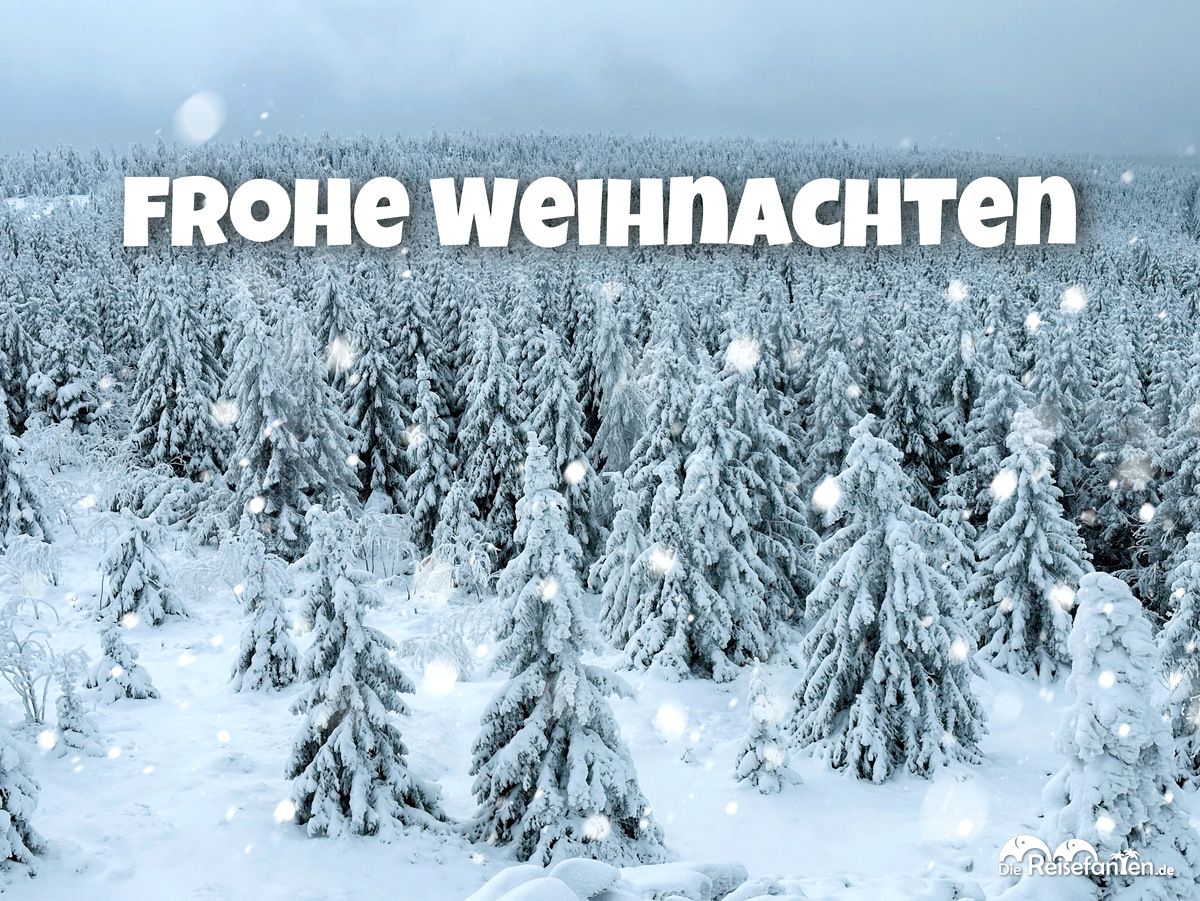 Weihnachtsgruss 2022