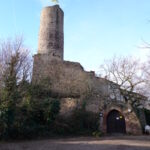 Winterliche Aussicht von der Strahlenburg 01