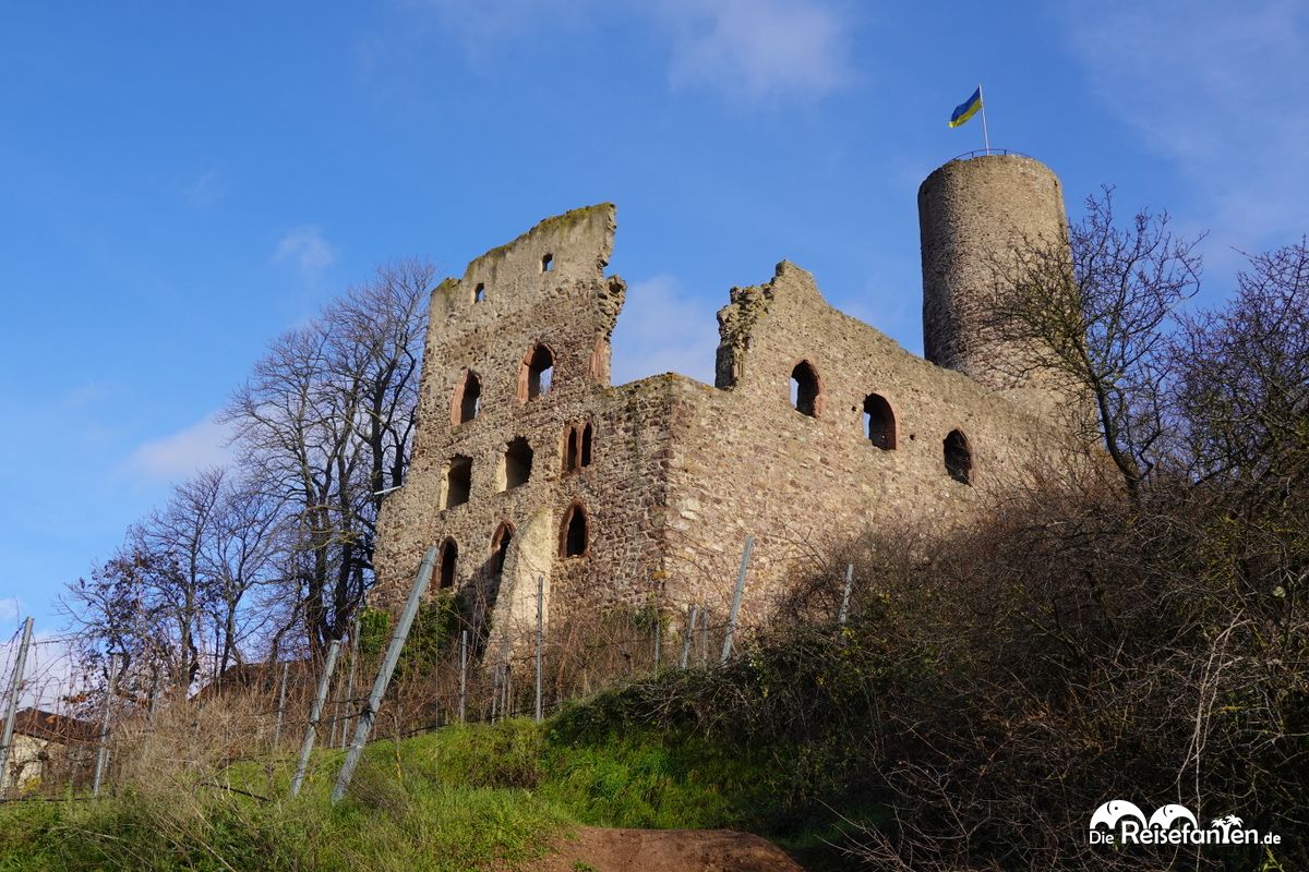 Winterliche Aussicht von der Strahlenburg 03