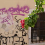 Graffiti auf Korfu 03