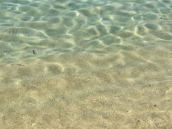 Klares Wasser in Agios Stefanos auf Mykonos