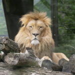 Viele Tiere in Duisburg 14