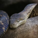 Viele Tiere in Duisburg 21