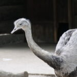 Viele Tiere in Duisburg 24