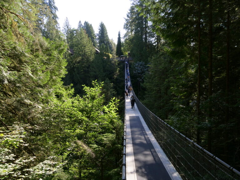 Zu Besuch im Capilano Suspension Bridge Park 11