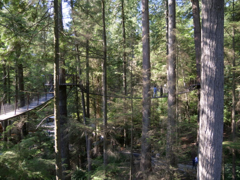 Zu Besuch im Capilano Suspension Bridge Park 17