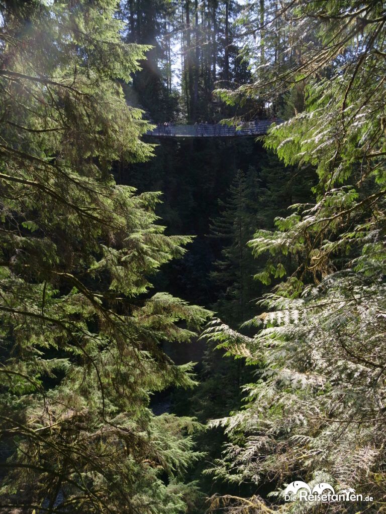 Zu Besuch im Capilano Suspension Bridge Park 25