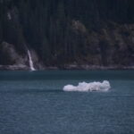 Mit dem Schiff im Tracy Arm Fjord 04