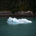 Mit dem Schiff im Tracy Arm Fjord 07