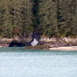 Mit dem Schiff im Tracy Arm Fjord 12