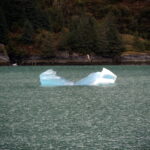 Mit dem Schiff im Tracy Arm Fjord 14