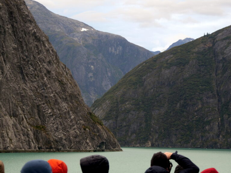 Mit dem Schiff im Tracy Arm Fjord 16