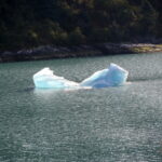 Mit dem Schiff im Tracy Arm Fjord 31