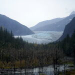 Von Juneau aus zum Mendenhall Glacier 04