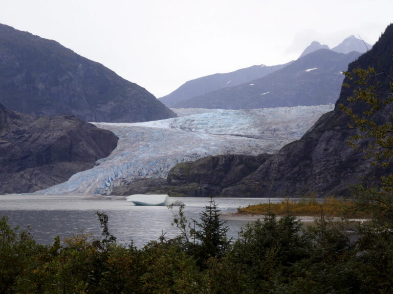 Von Juneau aus zum Mendenhall Glacier 05