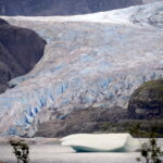 Von Juneau aus zum Mendenhall Glacier 06