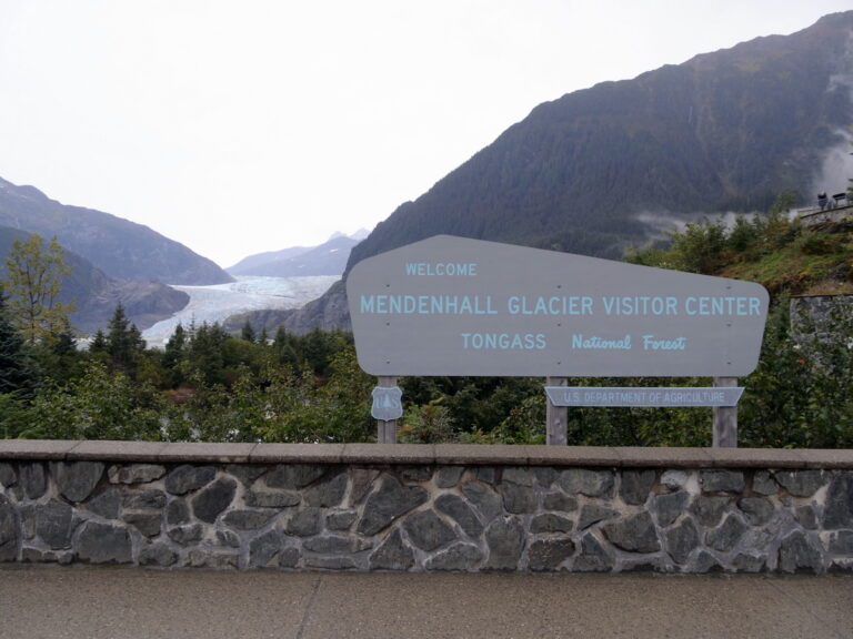 Von Juneau aus zum Mendenhall Glacier 08