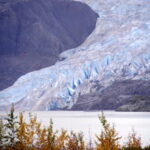 Von Juneau aus zum Mendenhall Glacier 13