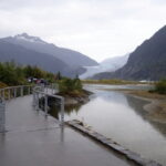 Von Juneau aus zum Mendenhall Glacier 14