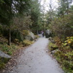 Von Juneau aus zum Mendenhall Glacier 15