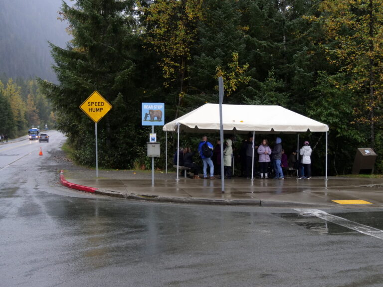 Von Juneau aus zum Mendenhall Glacier 17