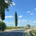 Impressionen aus der Toskana 1