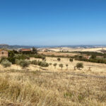 Impressionen aus der Toskana 16