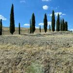 Impressionen aus der Toskana 19