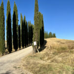 Impressionen aus der Toskana 22