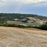 Impressionen aus der Toskana 4