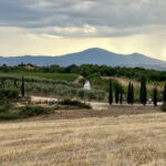 Impressionen aus der Toskana 5