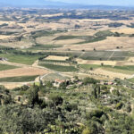 Impressionen aus der Toskana 7
