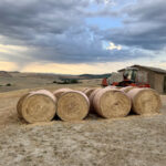 Impressionen aus der Toskana 8