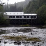 Eine denkwürdige Tour durch Ketchikan 07