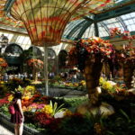 Der Herbst zu Besuch im Bellagio 03