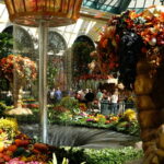Der Herbst zu Besuch im Bellagio 04