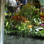 Der Herbst zu Besuch im Bellagio 05