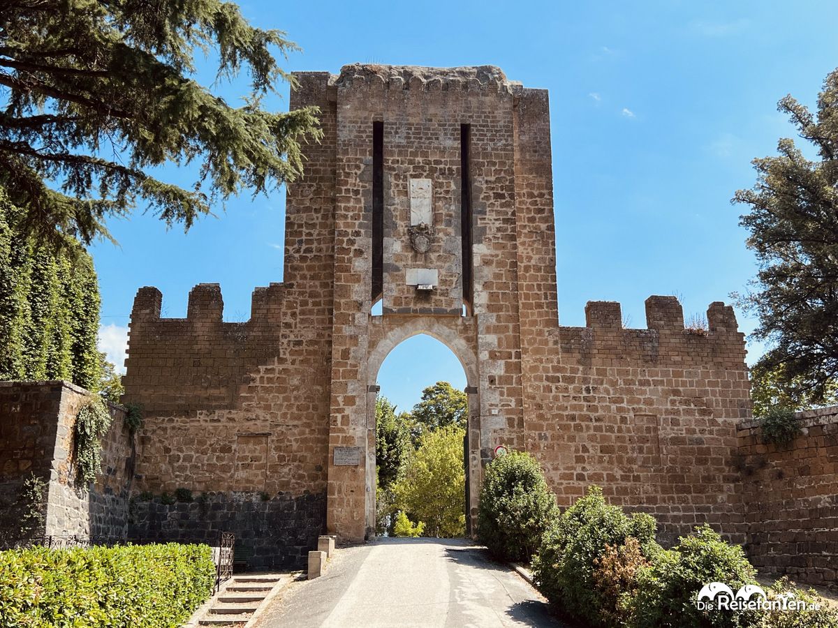 Orvieto 11